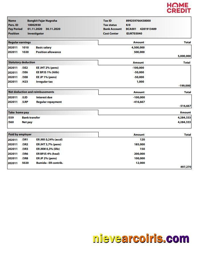 Home Credit Paystub
